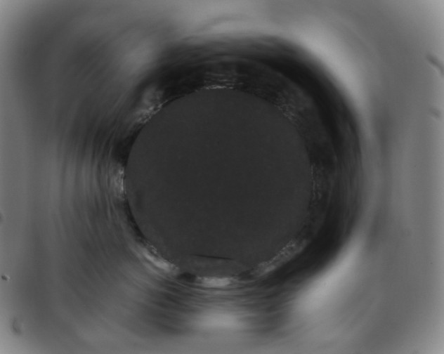 X0000097500766200803071802