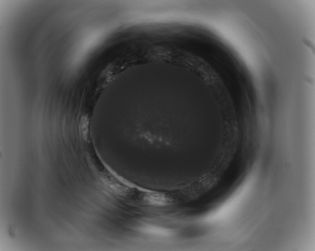 X0000097500767200803071802