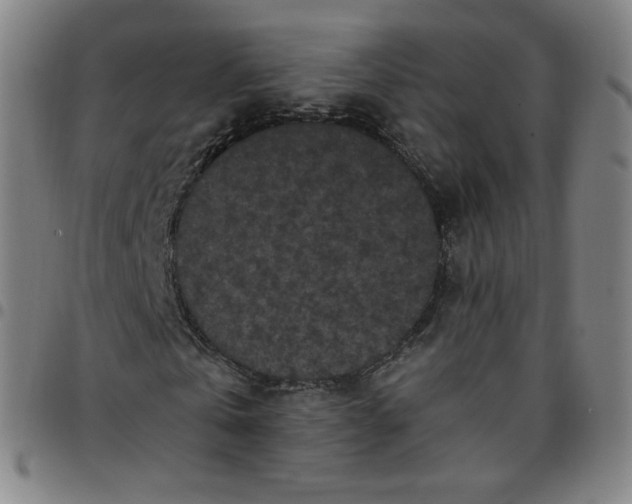 X0000097500769200803071801