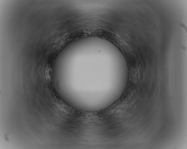 X0000097500770200803071801
