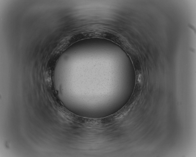 X0000097500771200803071801