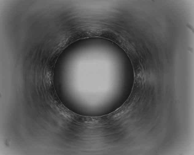 X0000097500772200803071801