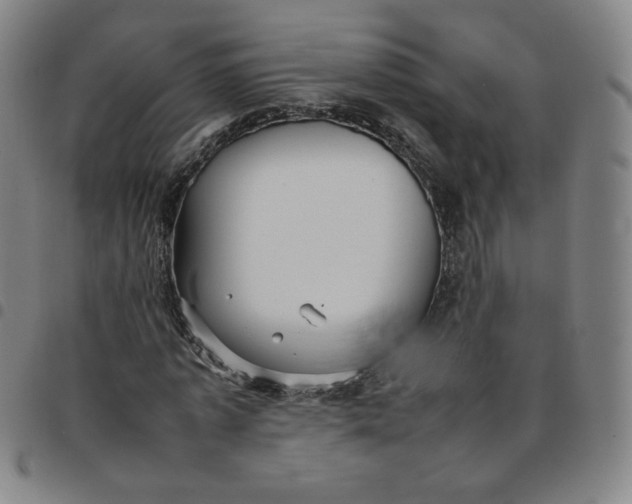 X0000097500773200803071801