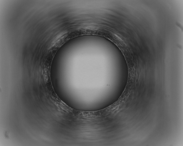 X0000097500774200803071801