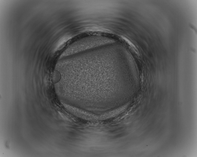 X0000097500775200803071801