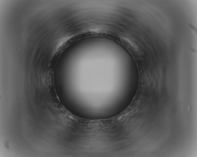 X0000097500776200803071801