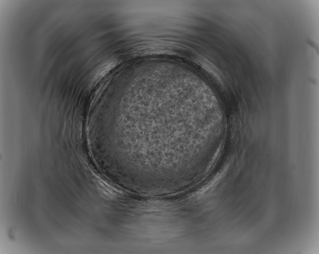 X0000097500777200803071801