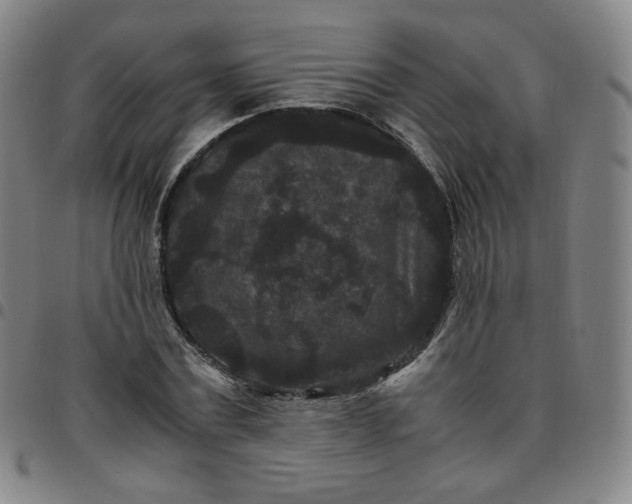 X0000097500779200803071801
