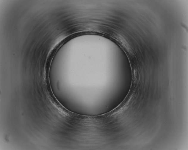 X0000097500780200803071801