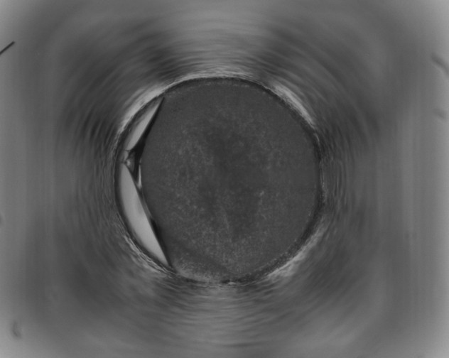 X0000097500781200803071801
