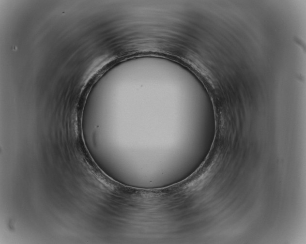 X0000097500782200803071801