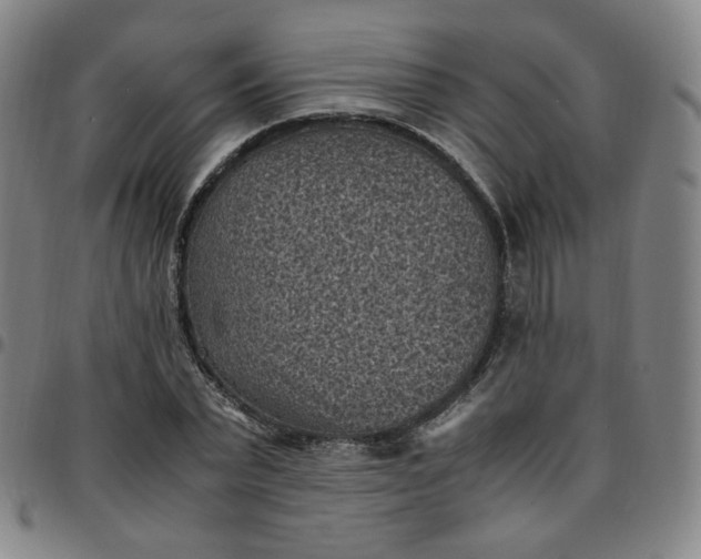 X0000097500783200803071801