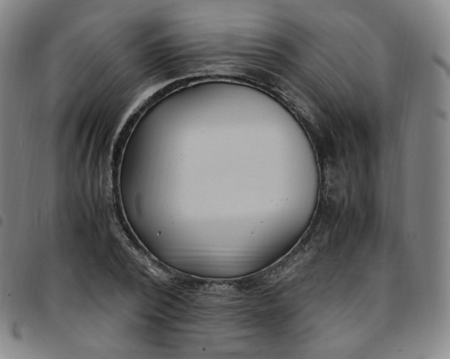 X0000097500784200803071801