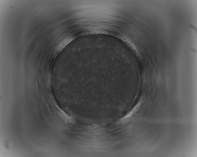 X0000097500785200803071801