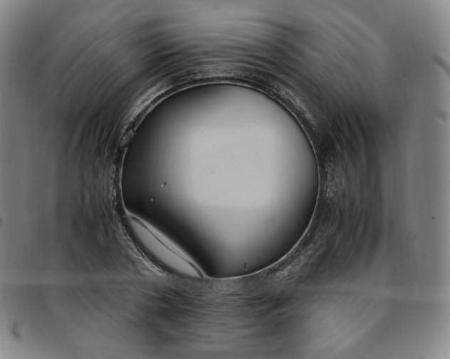 X0000097500786200803071801