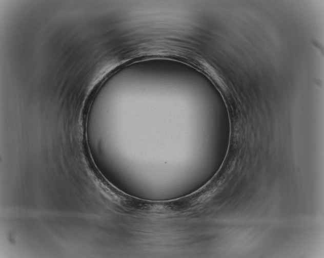 X0000097500787200803071801