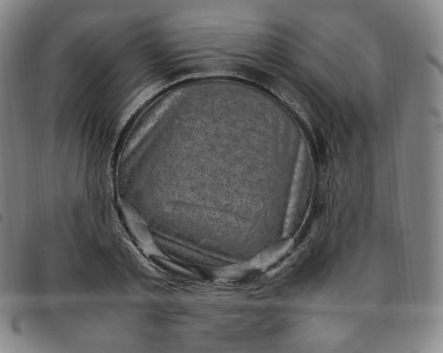X0000097500789200803071801