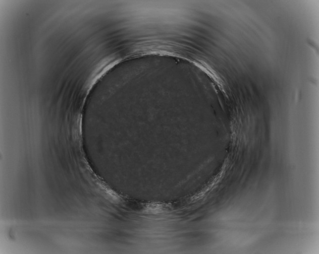 X0000097500790200803071801