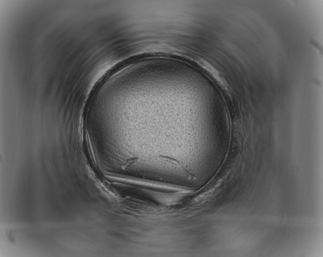 X0000097500791200803071801