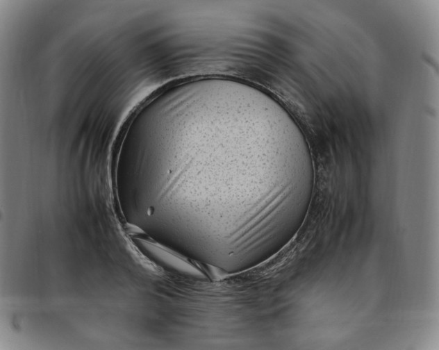 X0000097500792200803071801