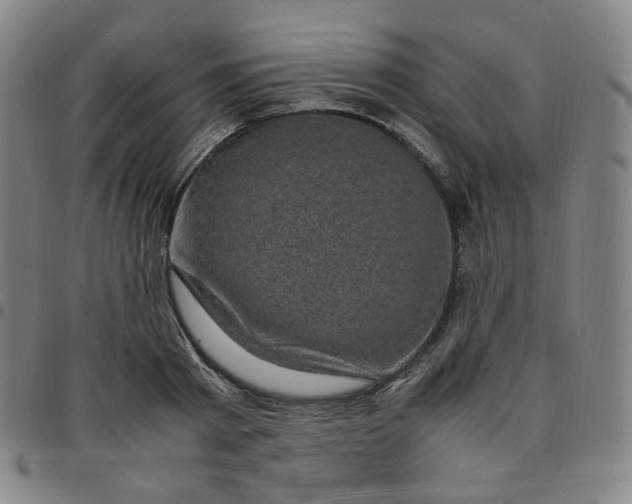 X0000097500793200803071801