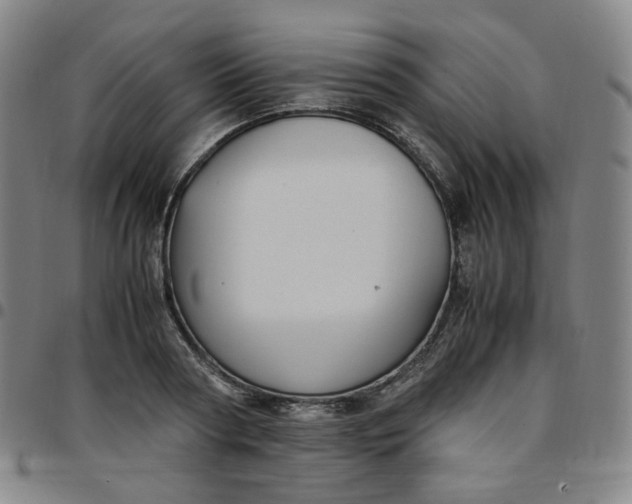 X0000097500794200803071801