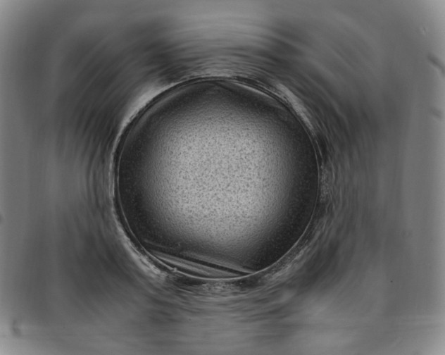 X0000097500795200803071801