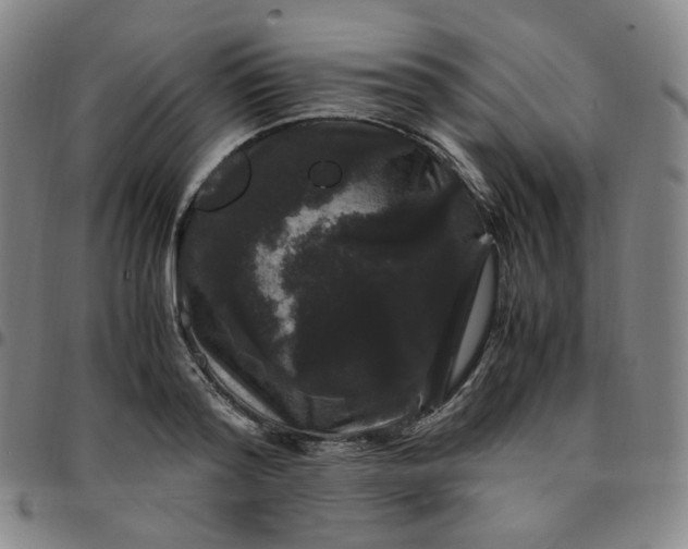 X0000097500796200803071801