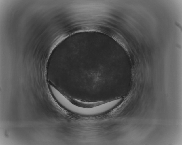 X0000097500797200803071801