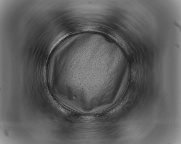 X0000097500798200803071801