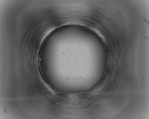 X0000097500799200803071801