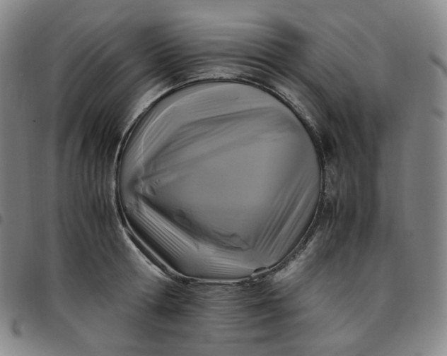 X0000097500802200803071801