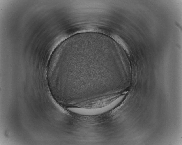X0000097500805200803071801