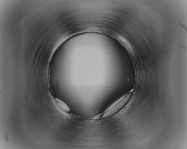X0000097500808200803071801