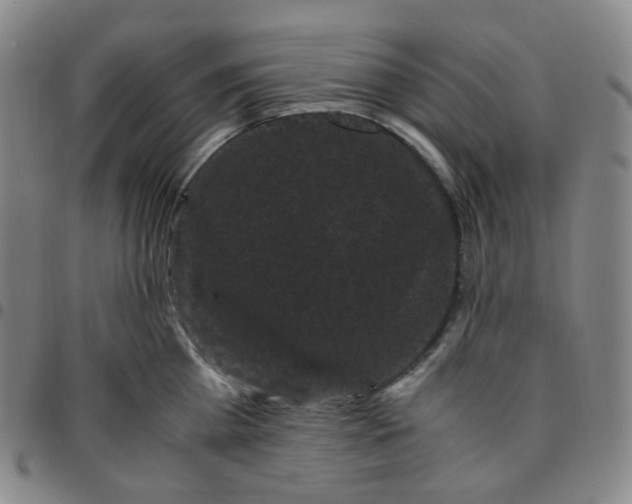 X0000097500809200803071801