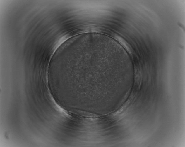 X0000097500810200803071801