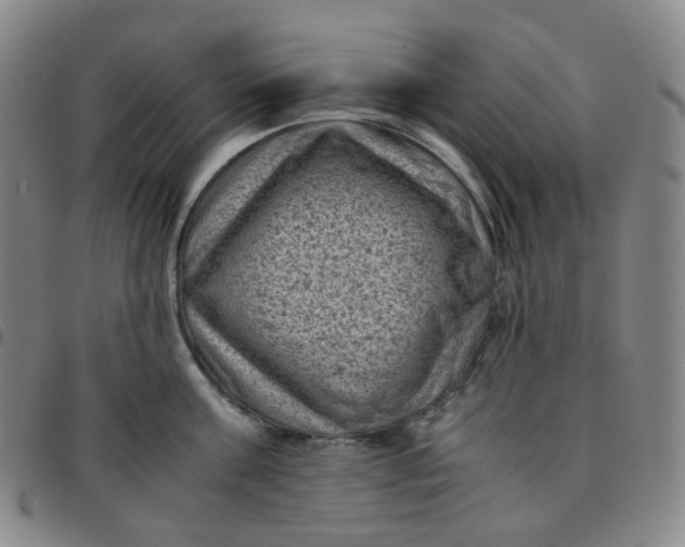 X0000097500811200803071801