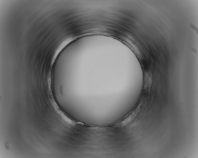 X0000097500812200803071801