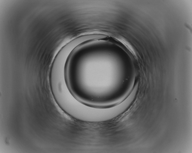 X0000097500813200803071801