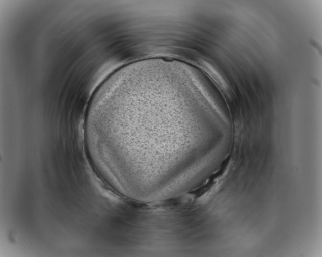 X0000097500814200803071801