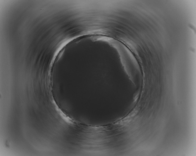 X0000097500816200803071801