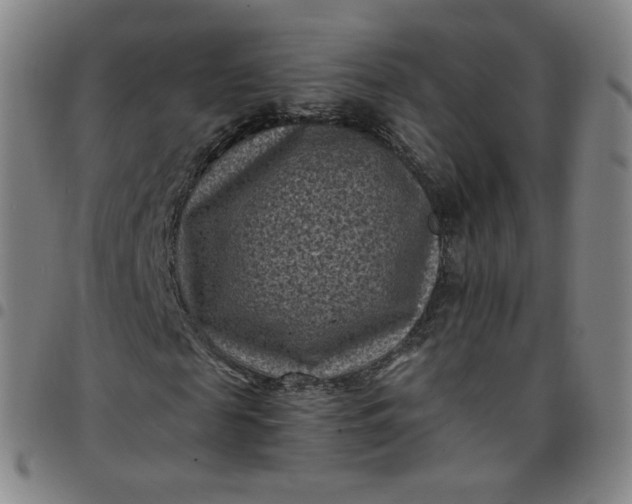 X0000097500817200803071800