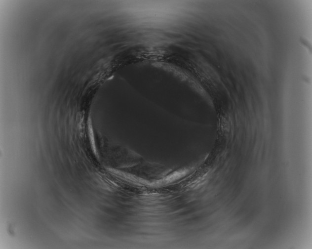 X0000097500818200803071800