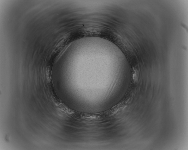 X0000097500819200803071800