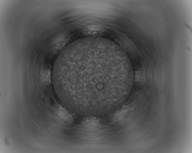 X0000097500820200803071800
