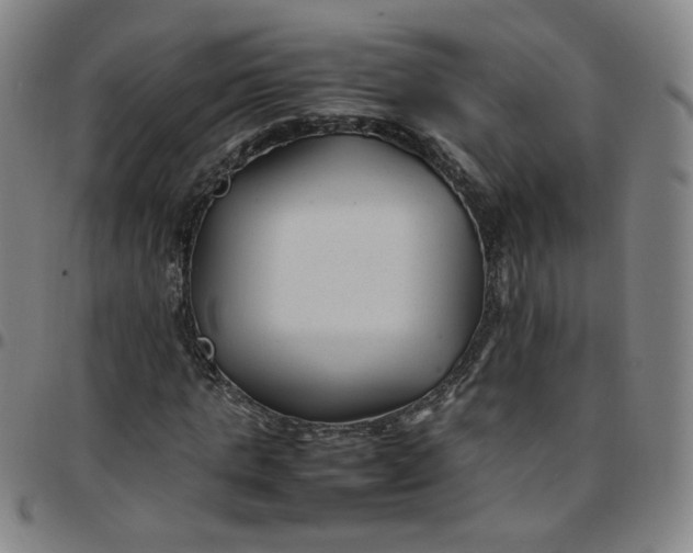X0000097500821200803071800