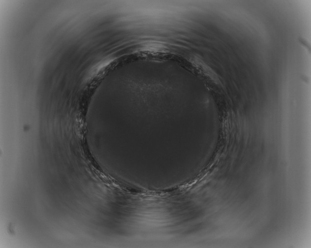 X0000097500822200803071800