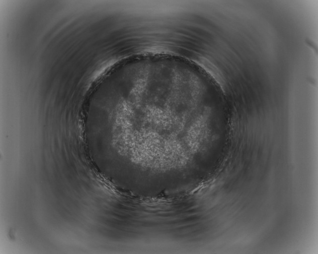 X0000097500823200803071800