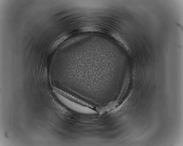 X0000097500825200803071800