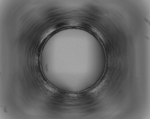 X0000097500827200803071800